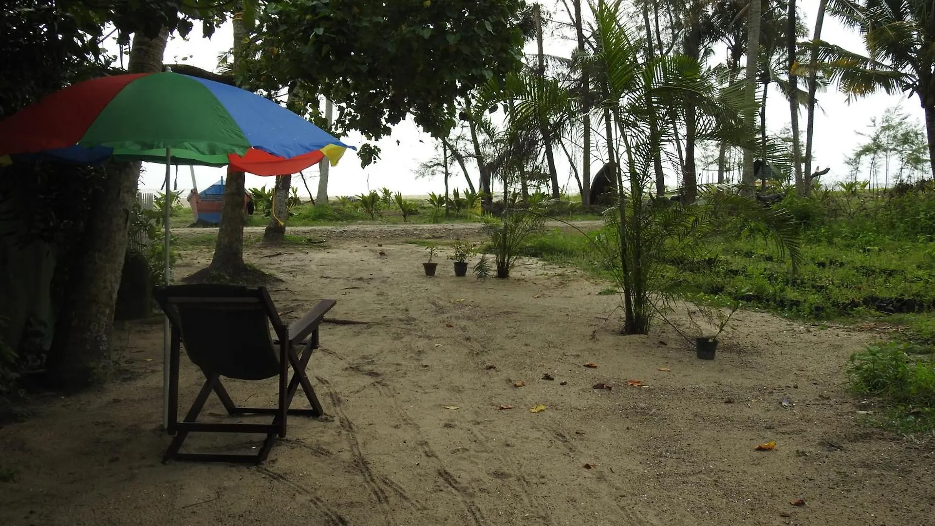 Shoreline Marari Beach Villa At Golden Beach Mararikulam Alappuzha Inde
